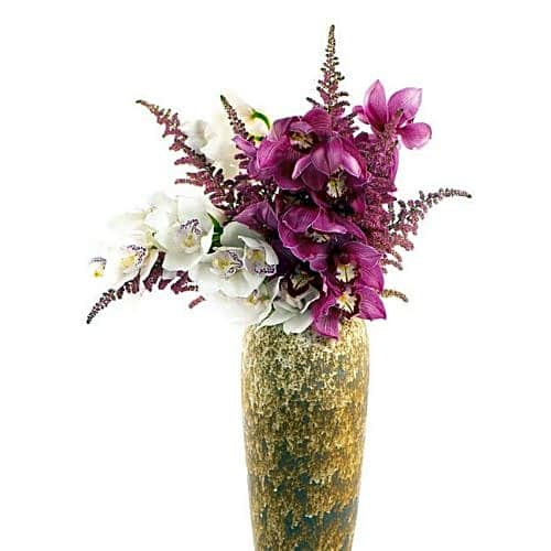 Cymbidium Astilbe view 1