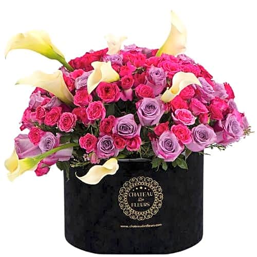 Black box arrangement view 1