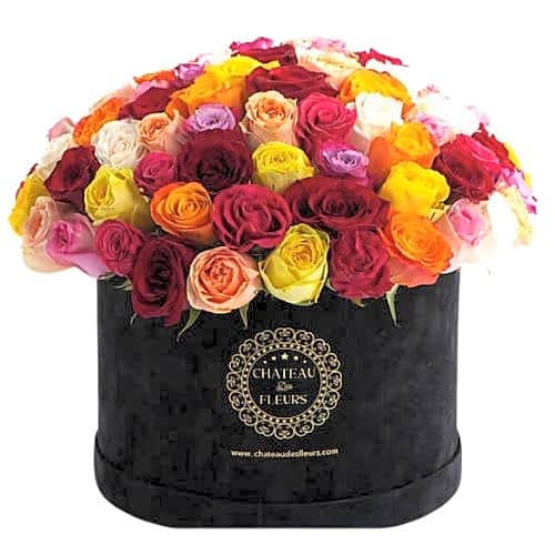 Rose mix all colors view 1