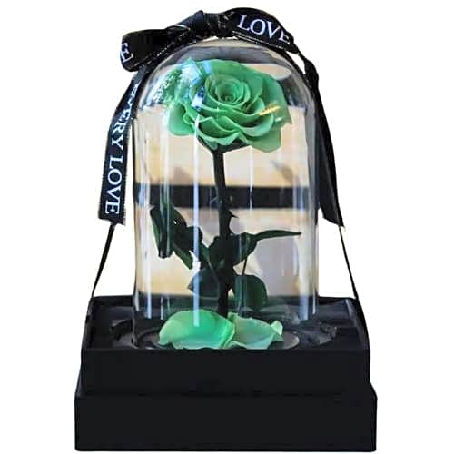 GREEN FOREVER ROSE view 1