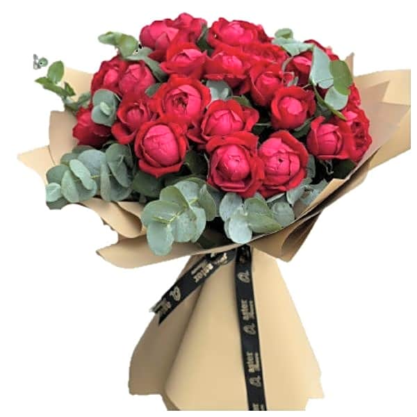 Elegant Red David Austin Roses view 1