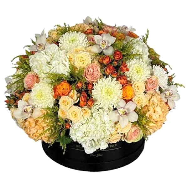 Seasons in a Box view 1
