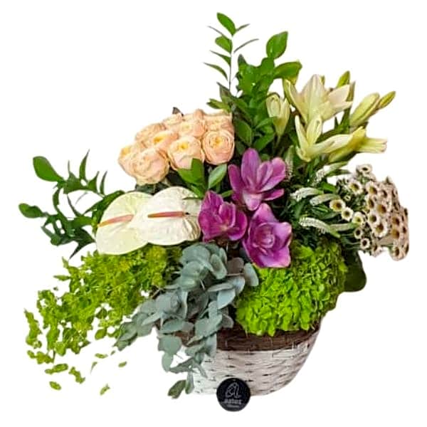 White And Green in Basket view 1