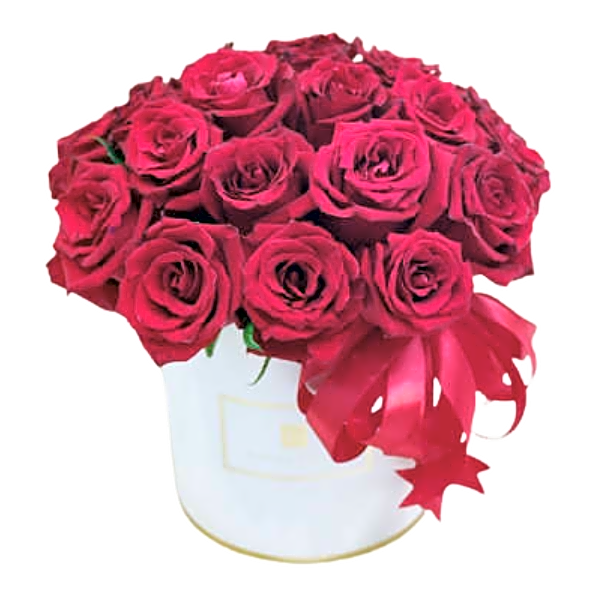 Rose box 51 view 1