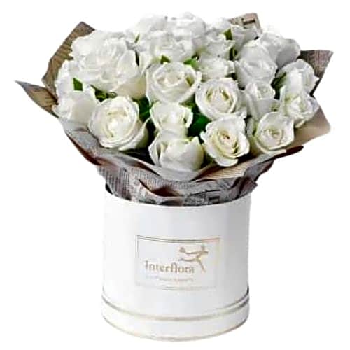 Aquarius Flowers 2 view 1