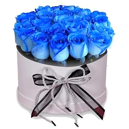 Blue Rose Box from Nigwa view 1