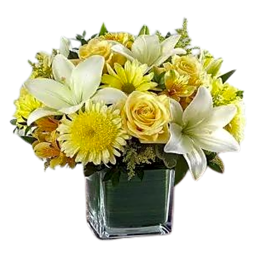 Leo Flowers 2 view 1