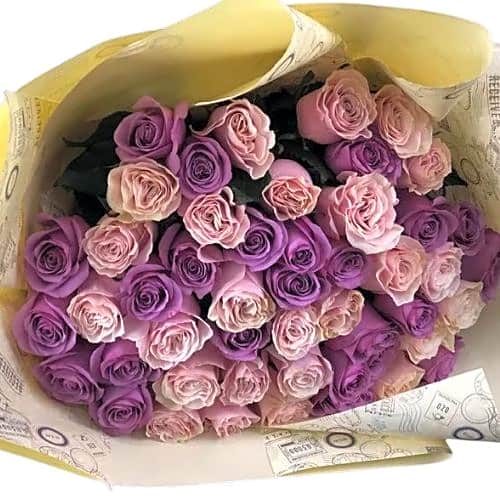 BEAUTY OF LAVENDER view 1