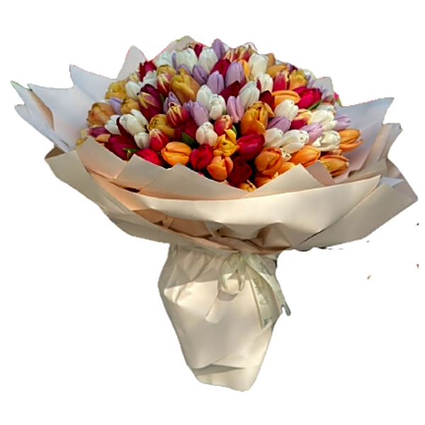 Lovely Multi Color Tulips view 1