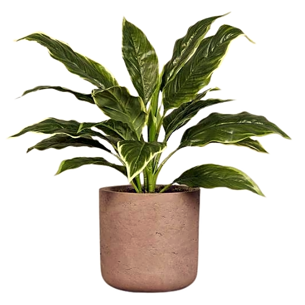 Artificial Hosta Plant. view 1