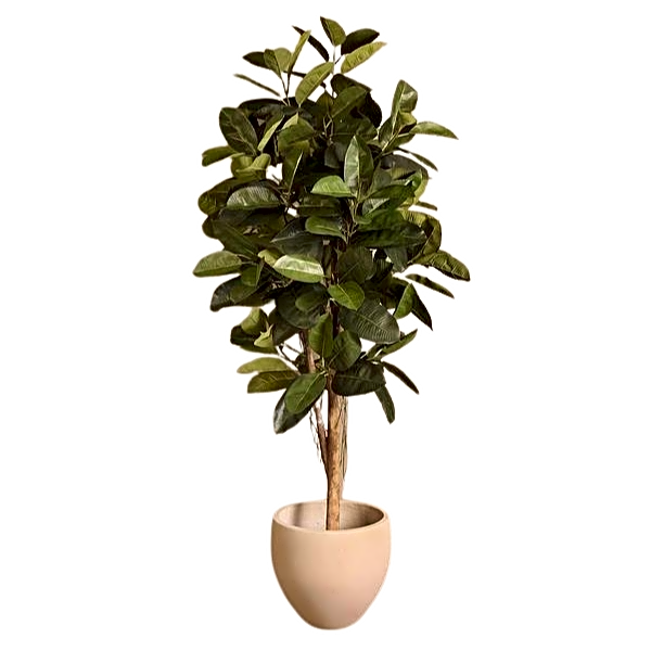 Artificial Rubber Tree. view 1