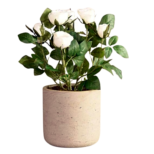 Artificial Cabbage Rose Plant. view 1