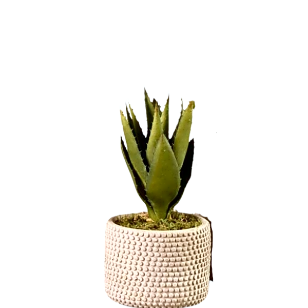 Artificial Aloe Plant. view 1