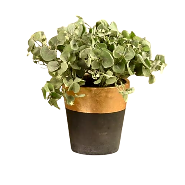 Artificial Dichondra Plant. view 1