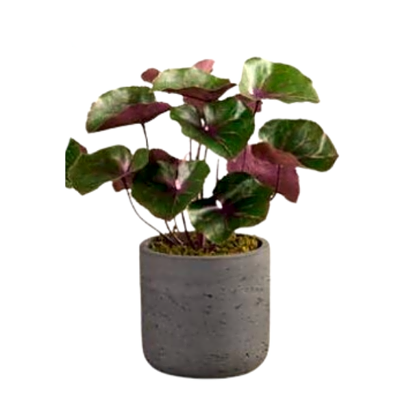 Artificial Ligularia Plant. view 1
