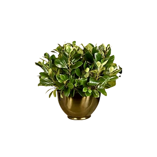 Artificial Watercress Plant. view 1