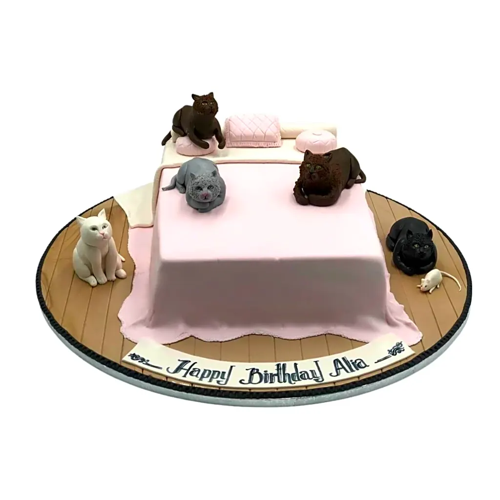 Cats & Bed Cake view 1