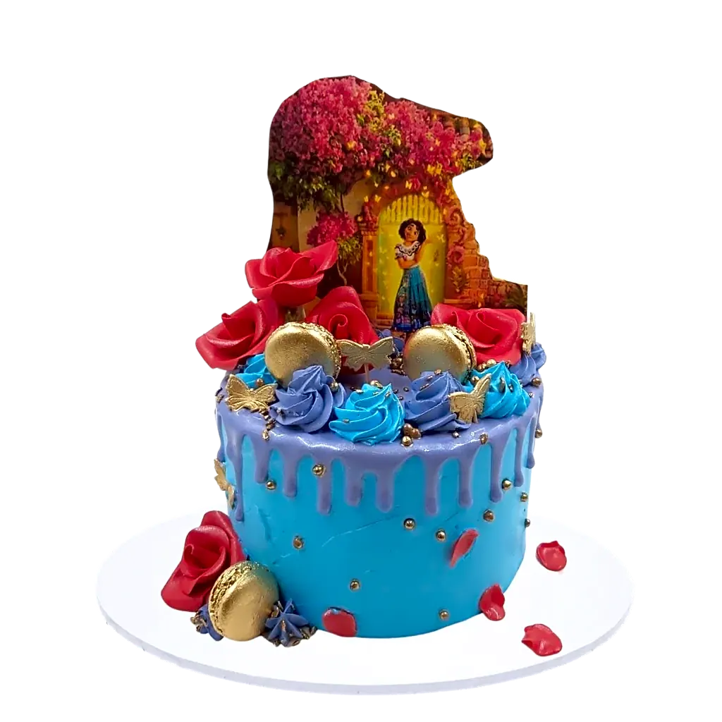 Encanto Drip Cake view 1