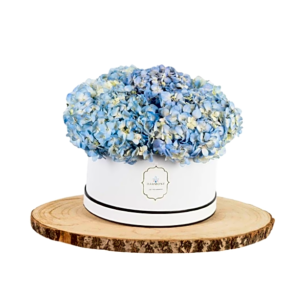 Petite Hydrangea Box view 1