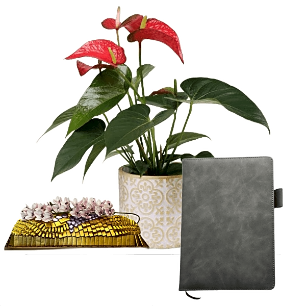 special Corporate Gifts  5 view 1