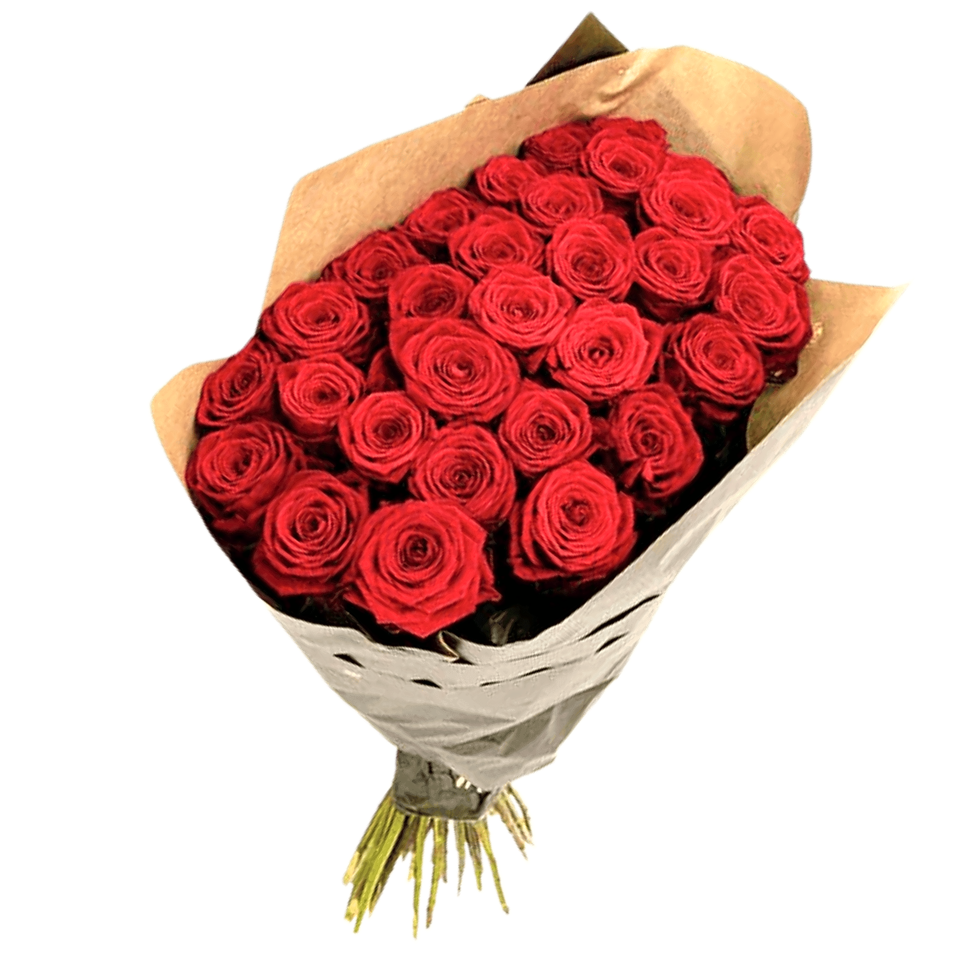 Rosenstrauss Rot view 1