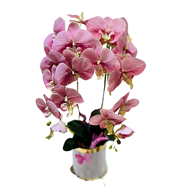 Orchid plant in a wonderful vase view 1