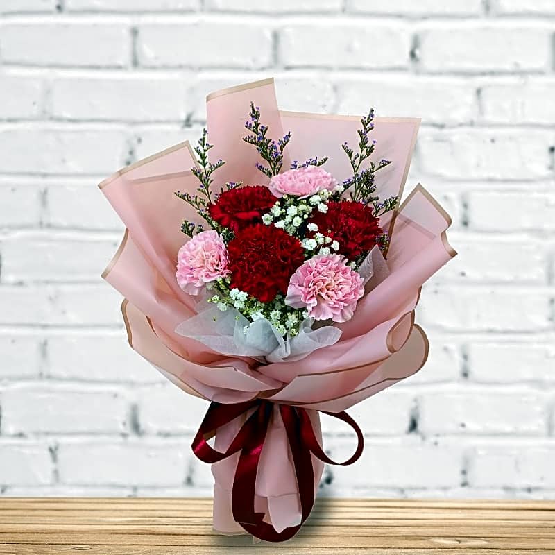 HC1013 Mixed Carnation Hand Bouquet view 1