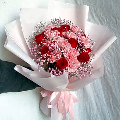 HC1005 Carnation Roses Hand Bouquet view 1