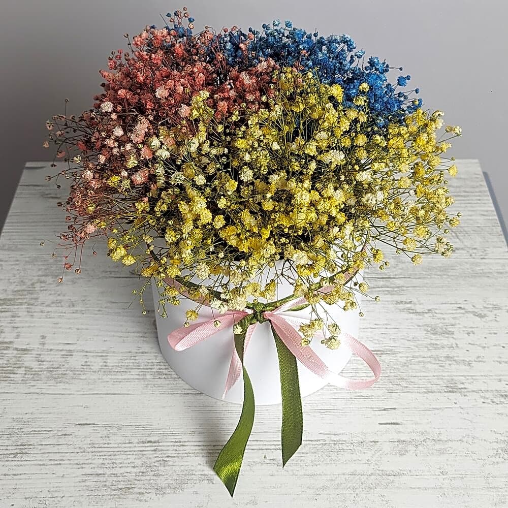 Color gypsophila in a white box view 1