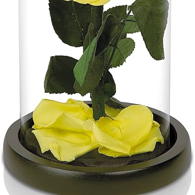 Yellow Forever Flower view 1