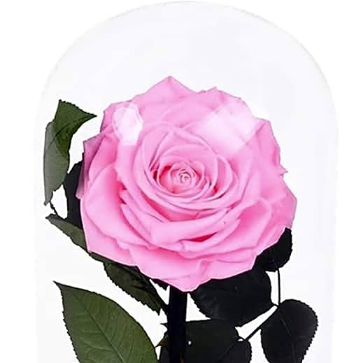 flower forever pink color view 1