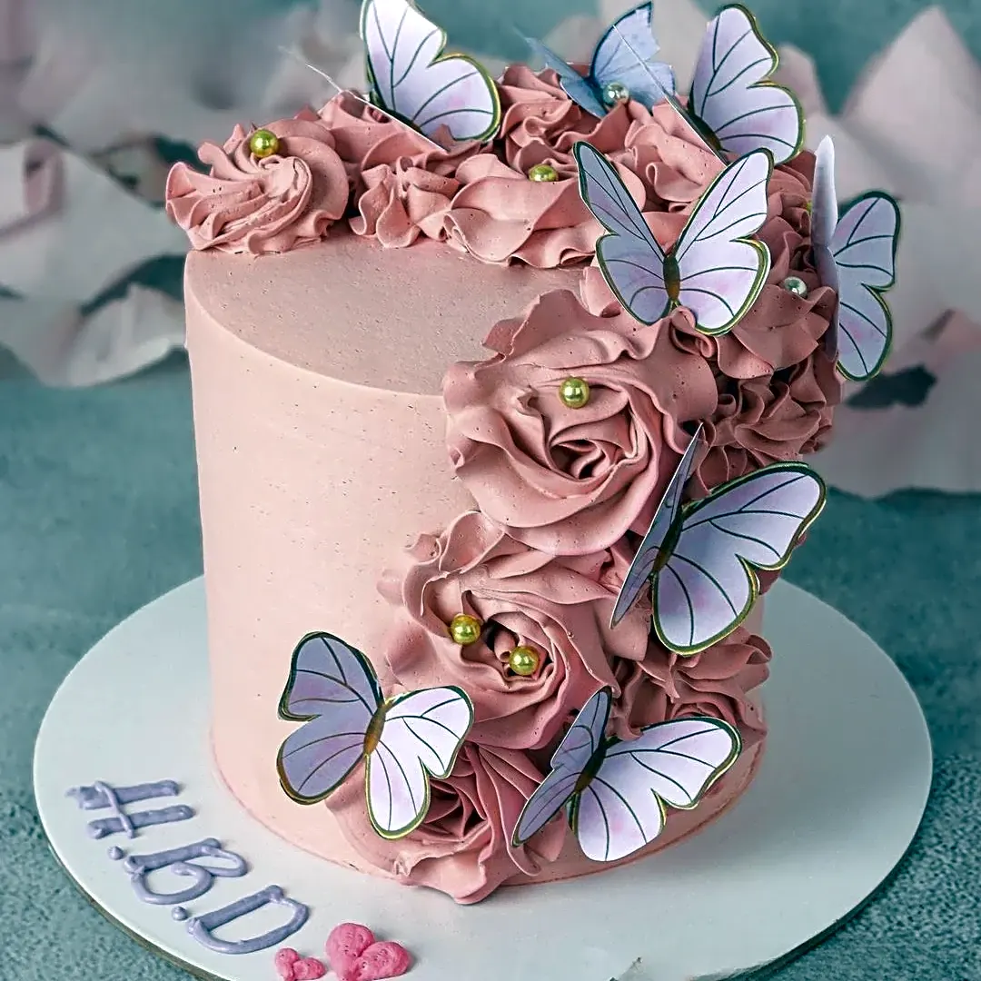 Pink Velvet Symphony view 1