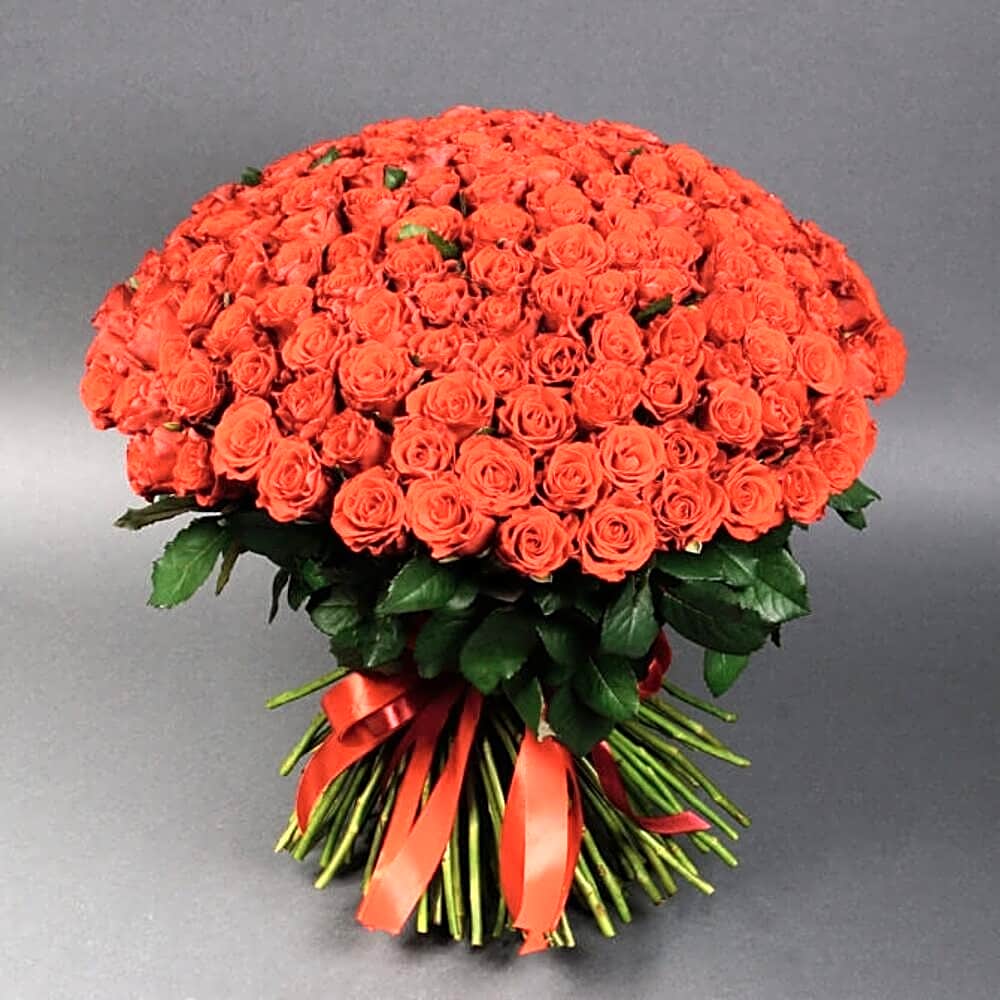 151 Red Roses Bunch view 1
