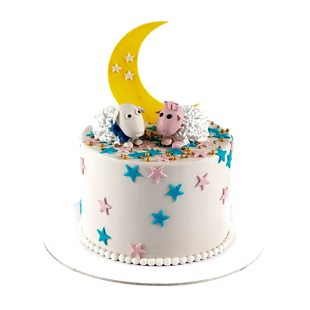 Moon and Sheep Cake view 1