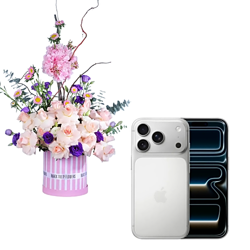 Apple iPhone 17 Pro – Silver view 1