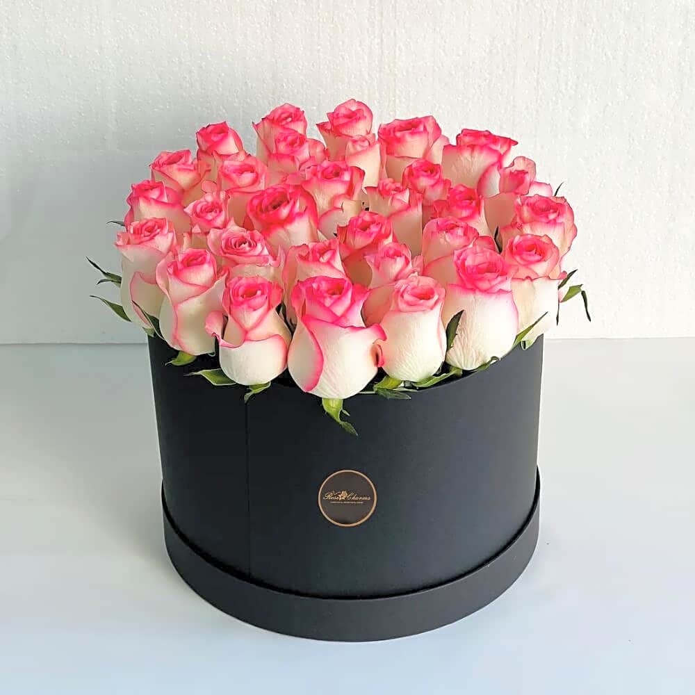 Color harmony box view 1