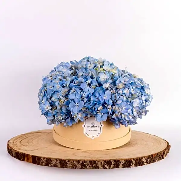 PetiteFlora Box view 1