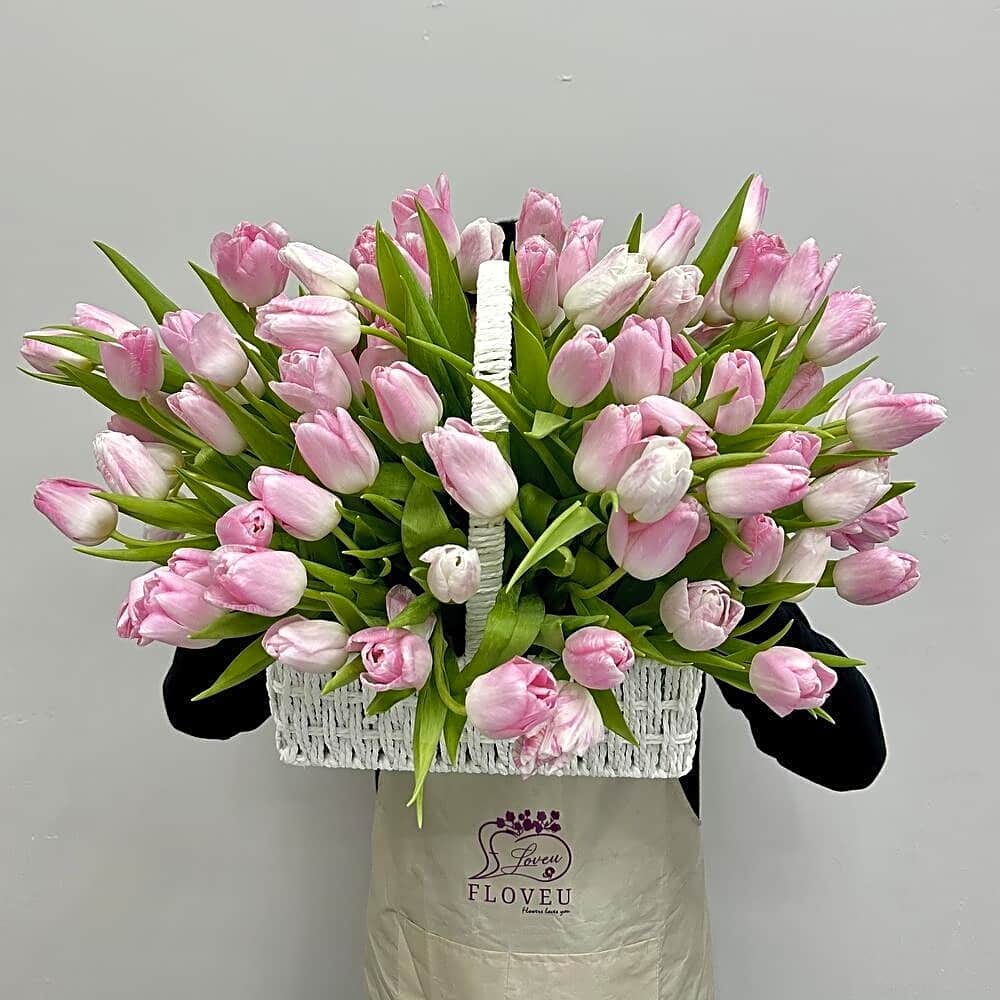 BEIRUT STYLE tulip view 1