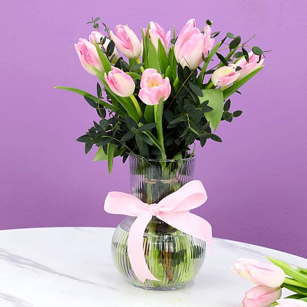 Topbright Bundle 7802 view 14