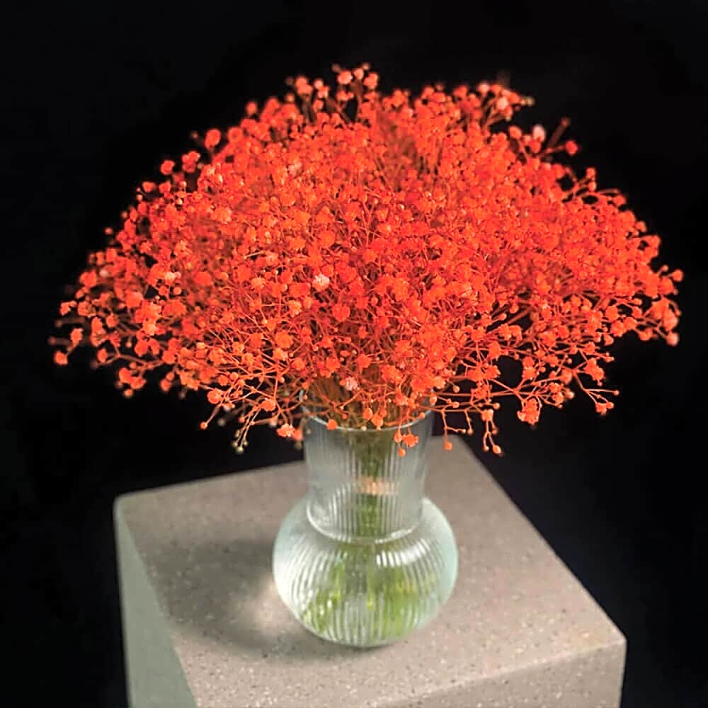 A vase of soft view 1