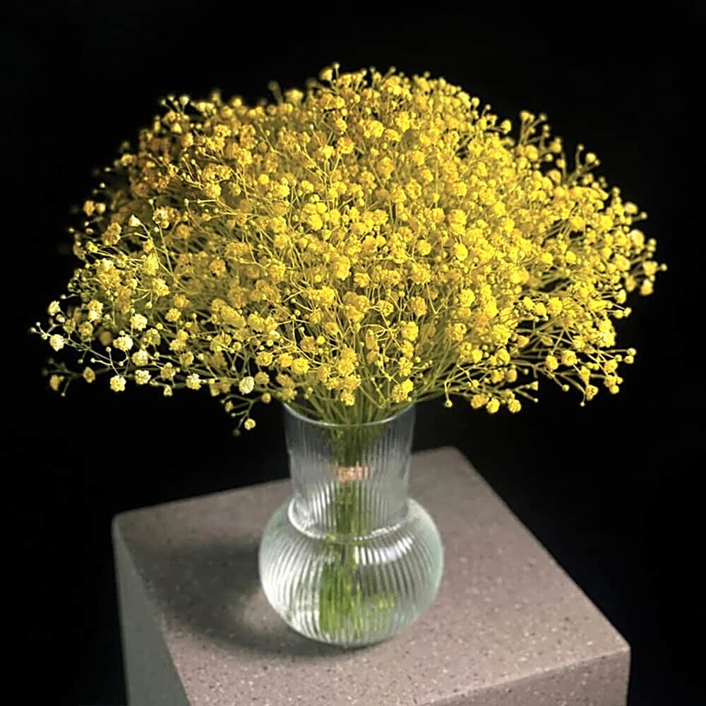 Vase of view 1