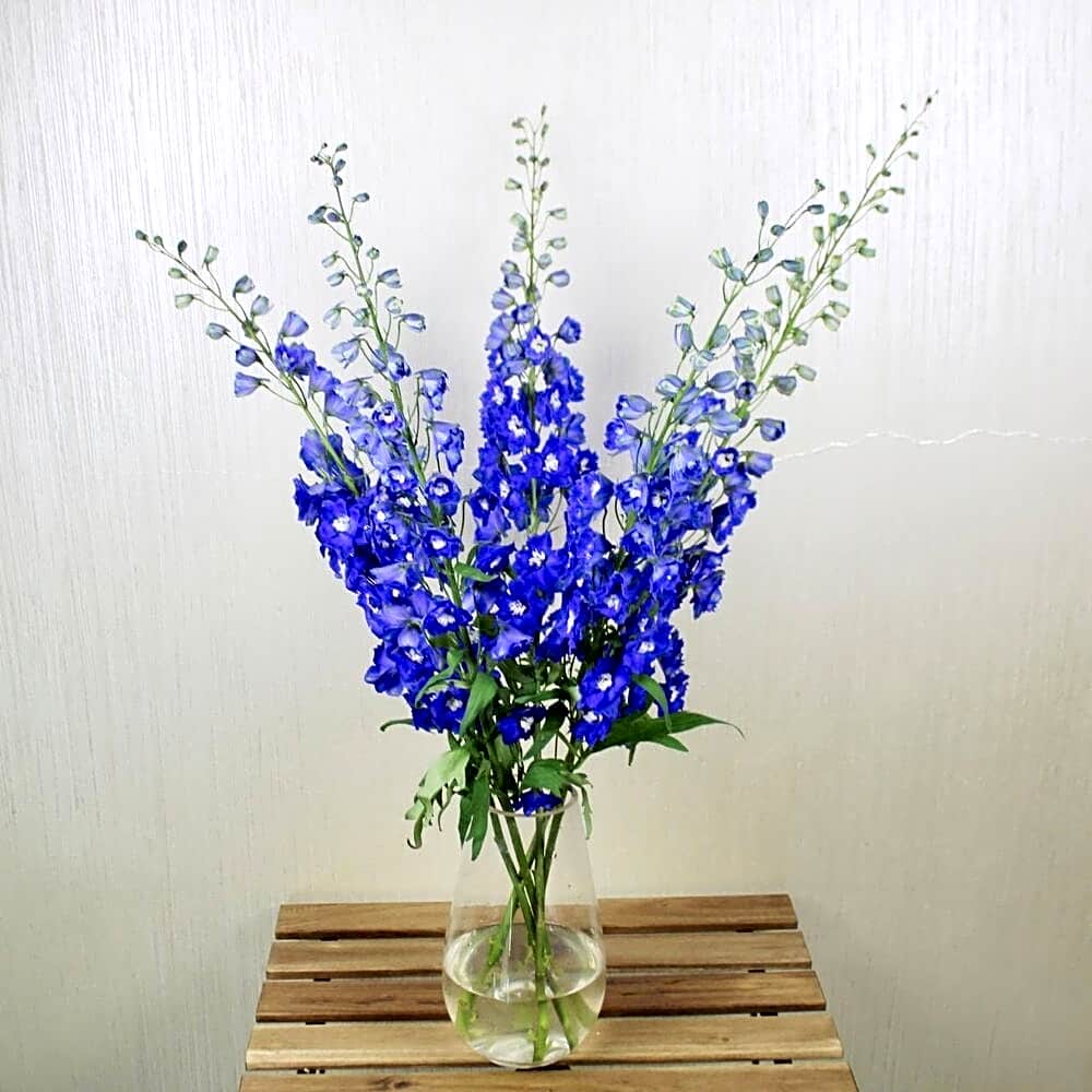 Blue Delphinium Vase 1116 view 1