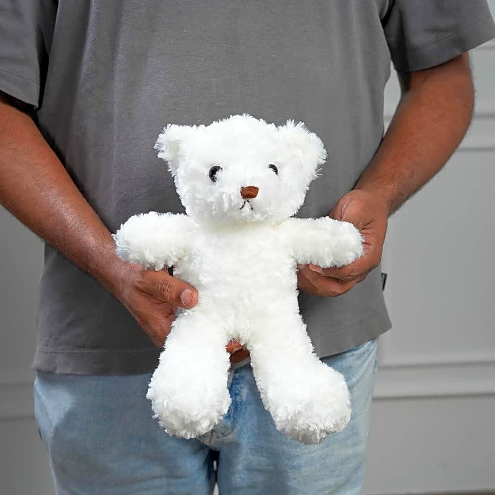 25cm Cute White Teddy Bear 7482 view 1