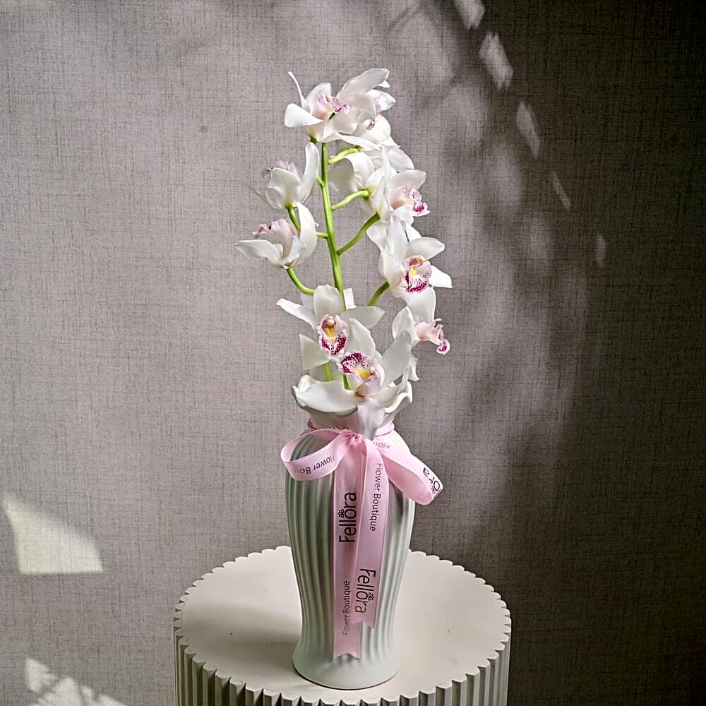 White Cymbidium Orchid in Ceramic Vase 6634 view 1