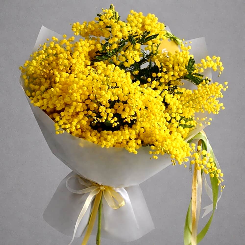 Mimosa (limited offer) view 1