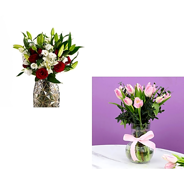 Organic Bundle 1051 view 1