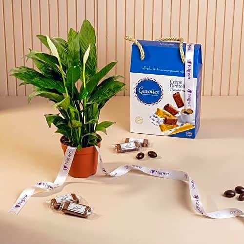 Gavottes with chocolate with lily plant view 1