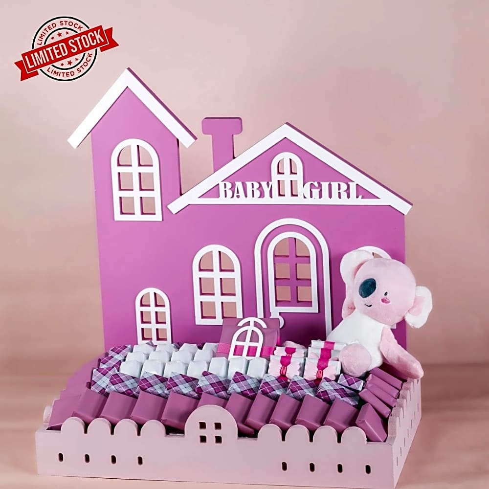 Baby girl house gift view 1