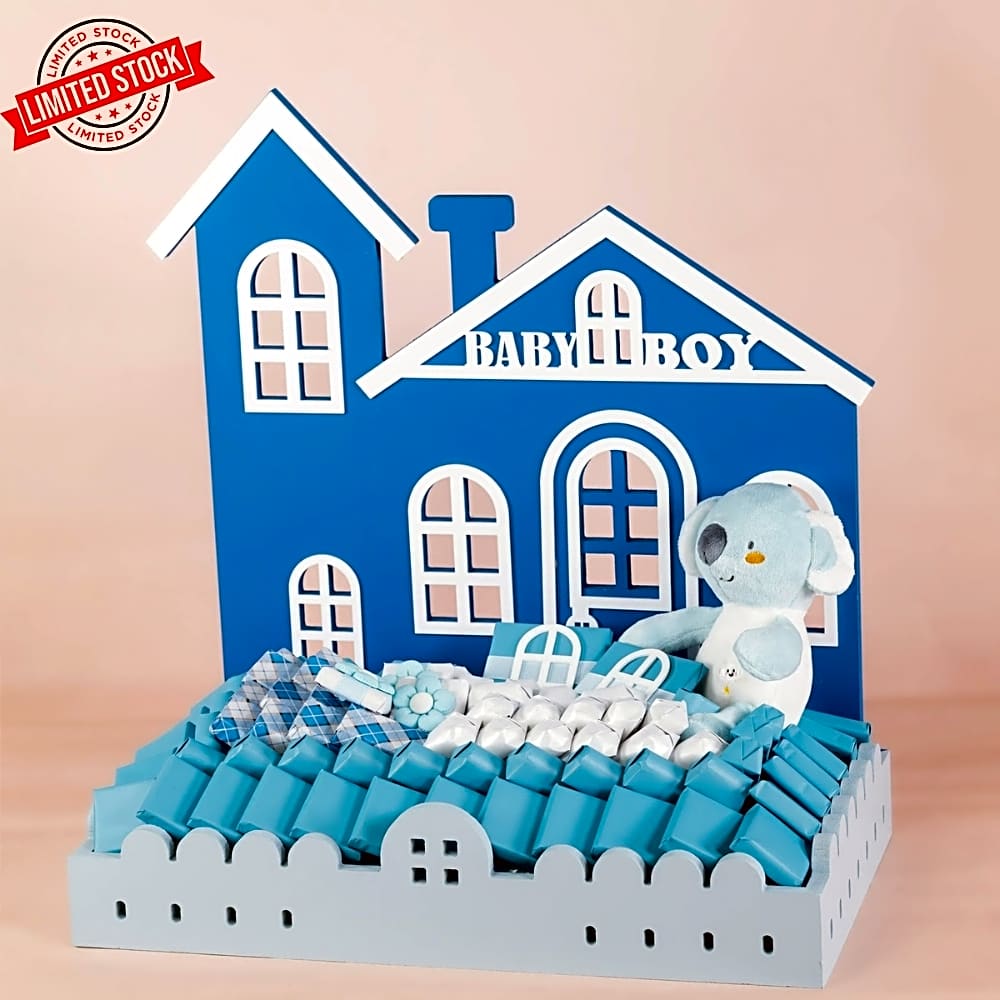 Baby boy house gift view 1