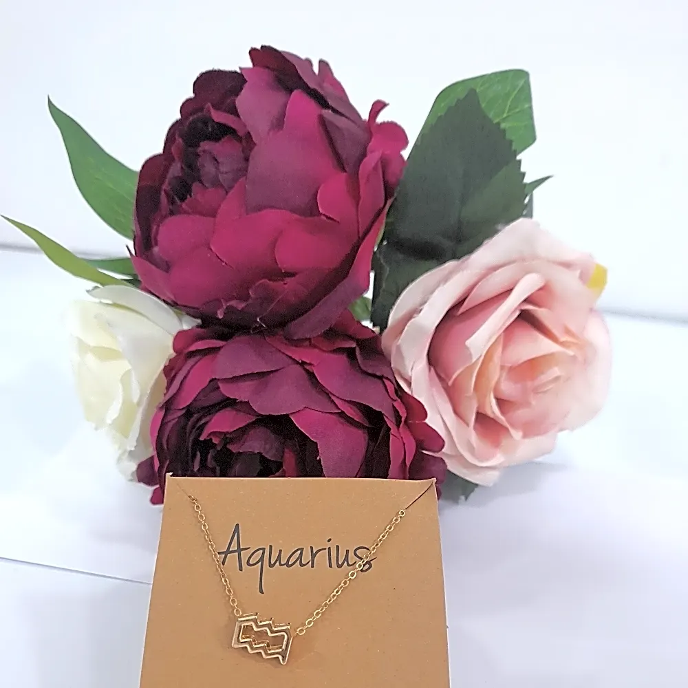 Horoscope Combo Aquarius